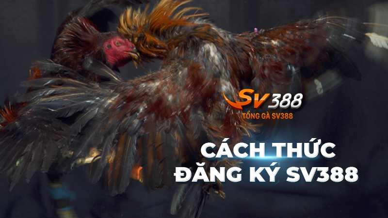 Cách đăng ký SV388