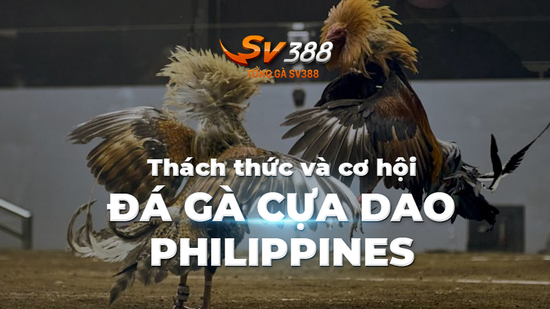 Thách thức và cơ hội của đá gà cựa dao Philippines