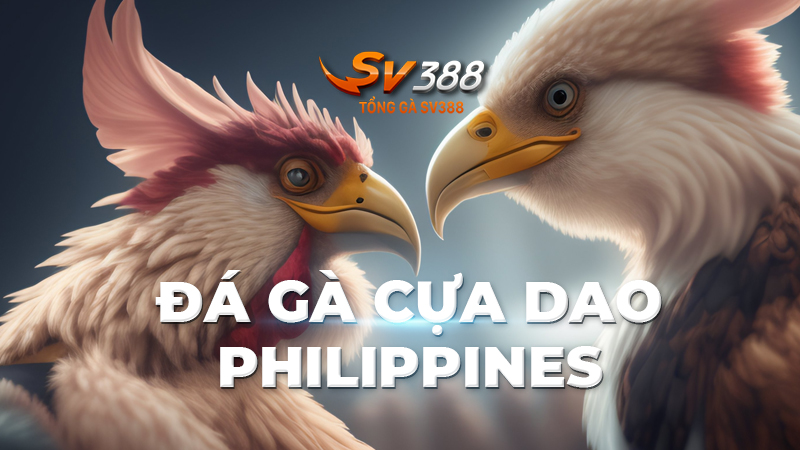 Đá gà cựa dao Philippines hôm nay