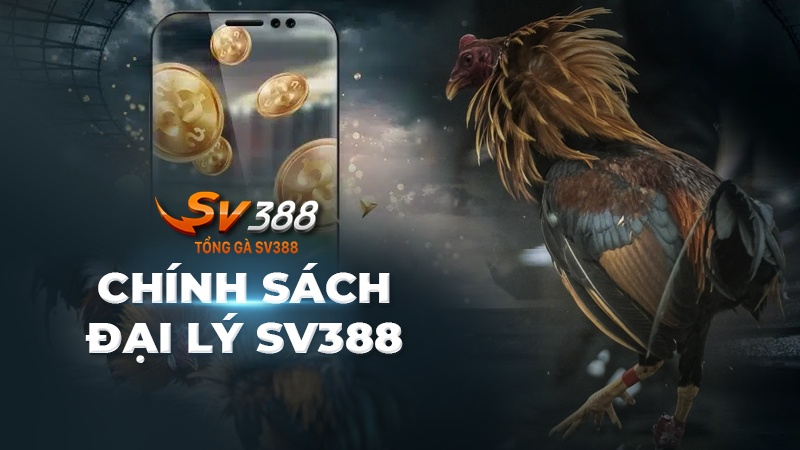 Đại lý SV388 – Chính sách và kế hoạch nhận hoa hồng chi tiết