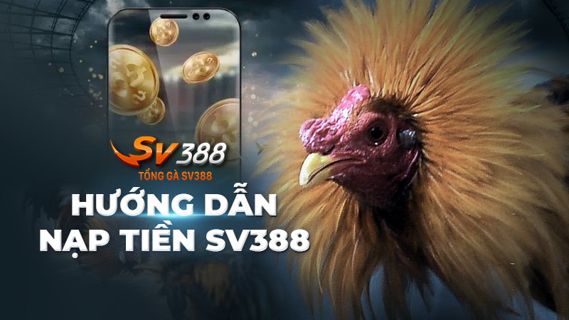 Nạp tiền SV388 | Hướng dẫn thao tác nạp tiền SV388