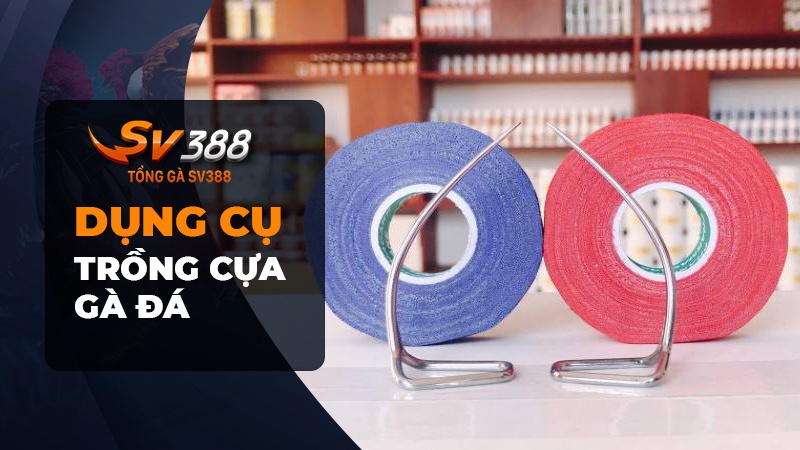 Những vật liệu cần có trong cách trồng cựa gà đá chuẩn