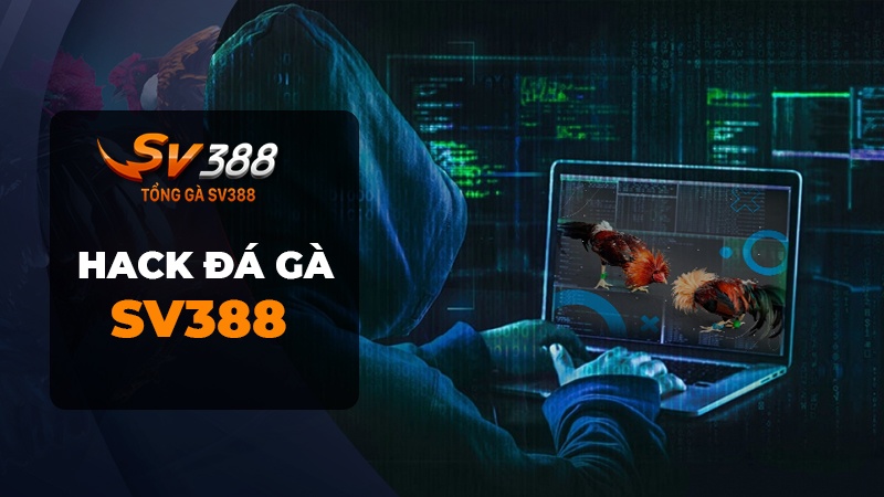 Tại sao có thông tin hack đá gà SV388?