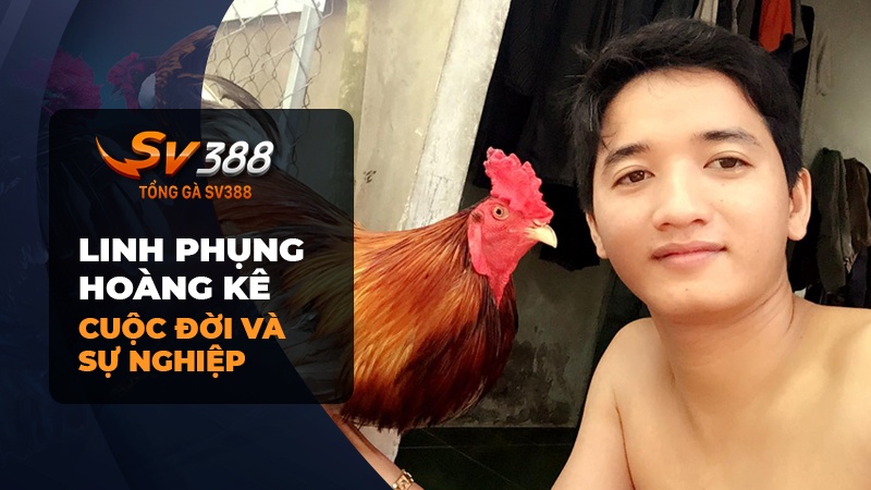 Cuộc đời và sự nghiệp của Phụng Hoàng Kê