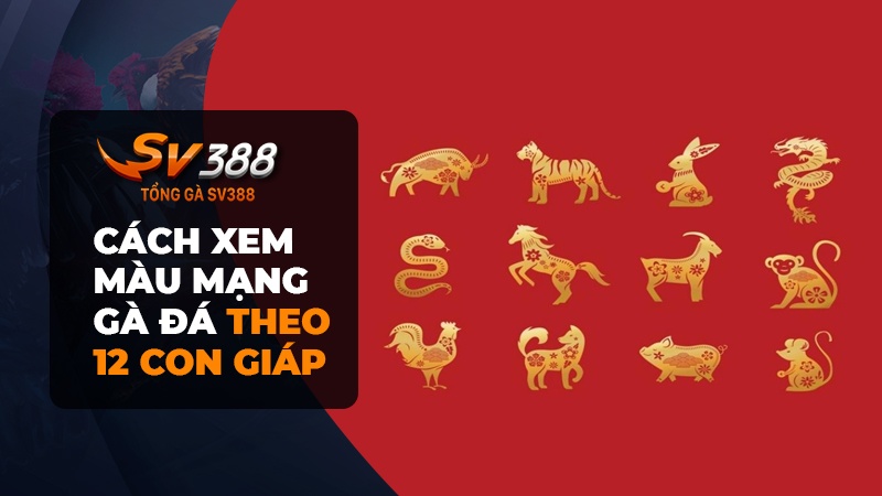 Xem màu mạng gà đá theo 12 con giáp