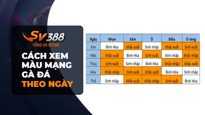 Xem màu mạng gà đá theo ngày