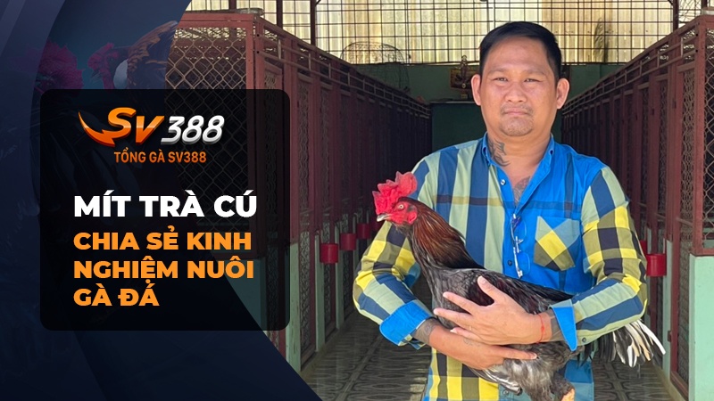 Mít Trà Cú chia sẻ kinh nghiệm