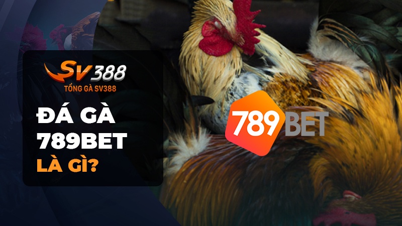 Giới thiệu về đá gà 789BET