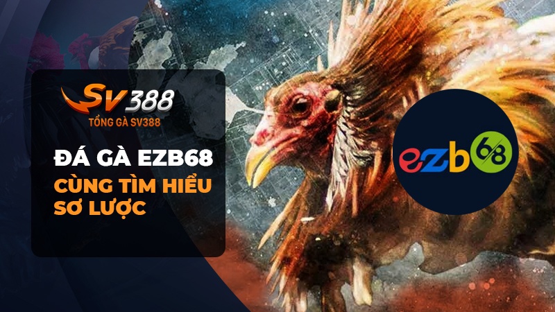 Đá gà EZB68 là gì?