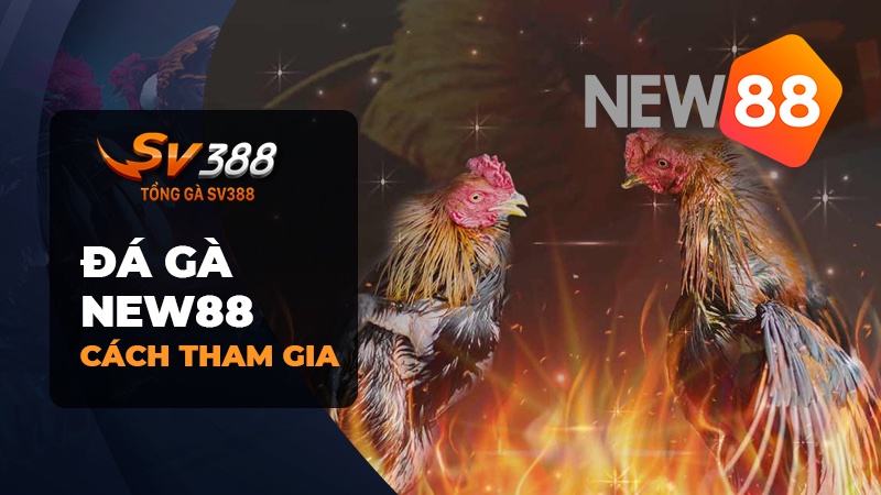 Cách thức tham gia đá gà New88