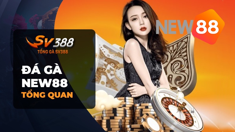 Đá gà New88 | Link đăng ký đá gà New88 & đăng nhập