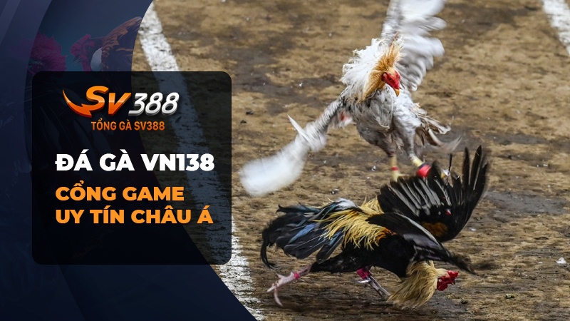 Đá gà VN138 Campuchia sao lại thu hút người chơi đến vậy?