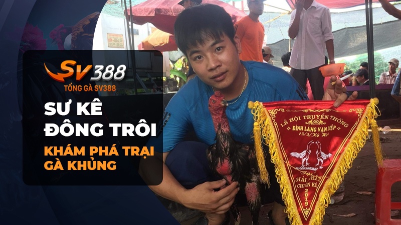 Khám phá trại gà của Sư Kê Đông Trôi