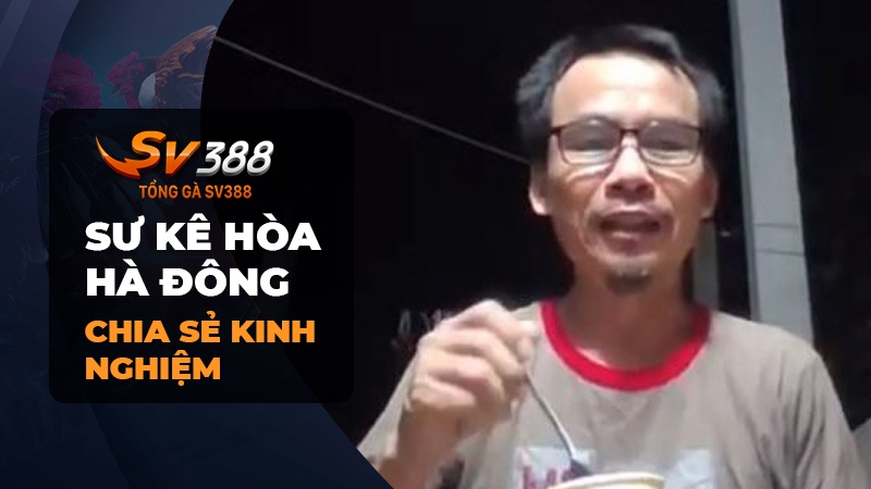 Sư kê Hòa Hà Đông chia sẻ kinh nghiệm nuôi gà chọi