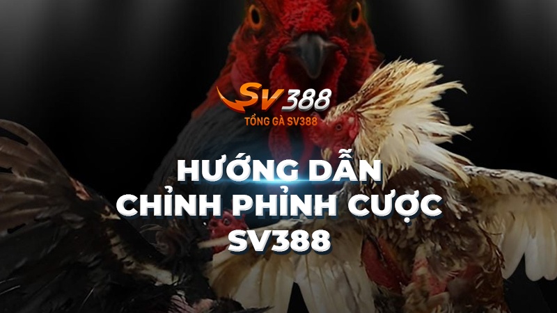 Chỉnh phỉnh cược SV388 - Hướng dẫn thao tác chỉnh phỉnh cược