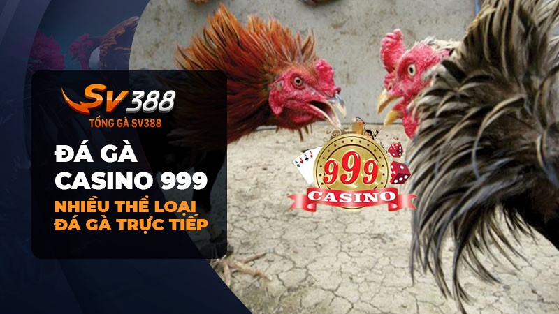 Đá gà Casino 999 trực tiếp từ những quốc gia nào?