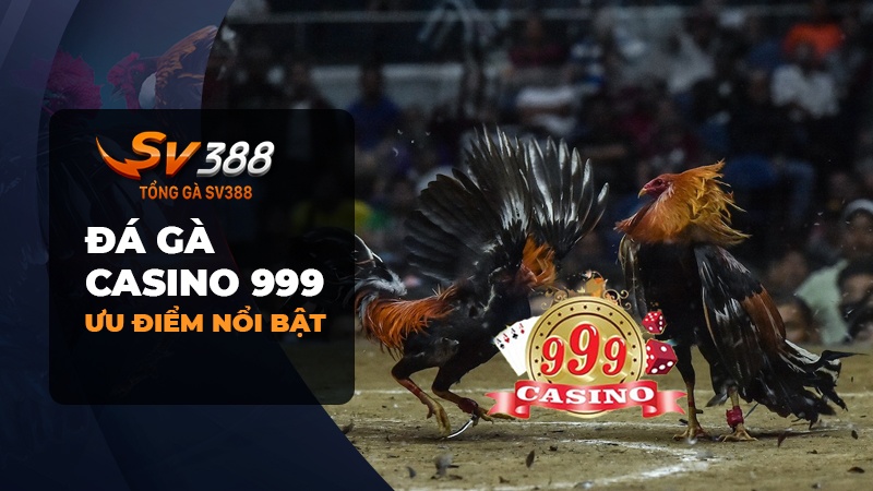 Ưu điểm của nhà cái đá gà Casino 999