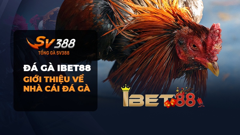 Đôi nét về game đá gà Ibet88