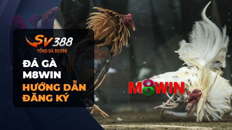 Hướng dẫn đăng ký đá gà M8WIN