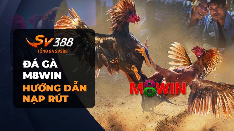 Nạp rút tiền đơn giản khi tham gia chơi đá gà tại M8WIN Casino