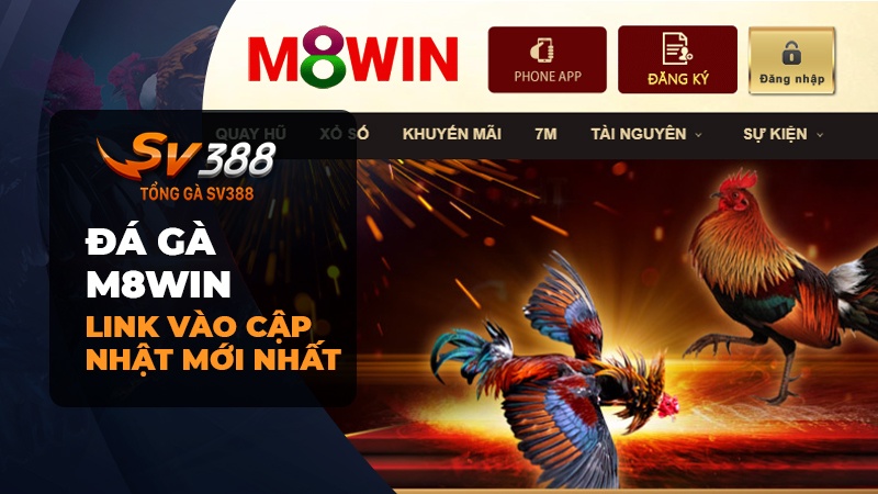 Đá gà M8WIN | Link vào đá gà M8winvip.com