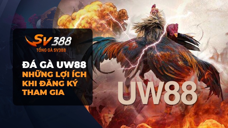 Lợi ích khi đăng ký tham gia cá cược Đá gà UW88