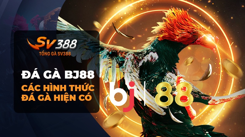 Các Hình Thức Đá Gà BJ88