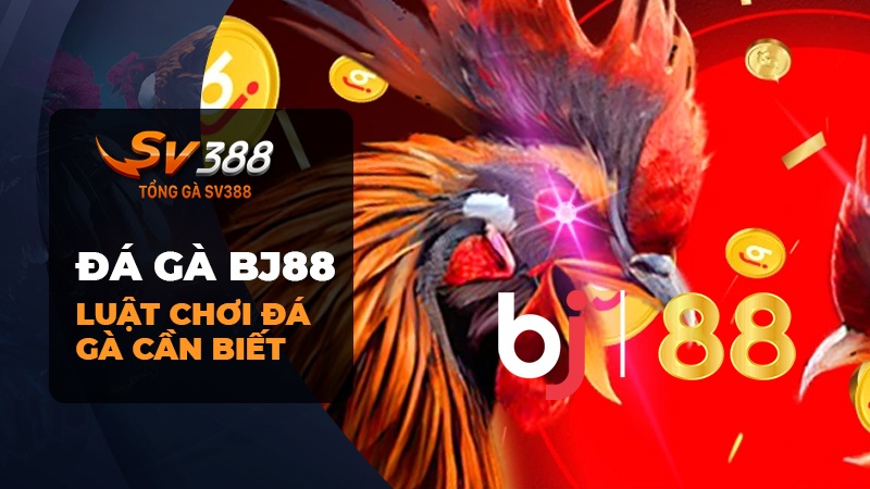 Luật Chơi Đá Gà BJ88 Bạn Cần Biết