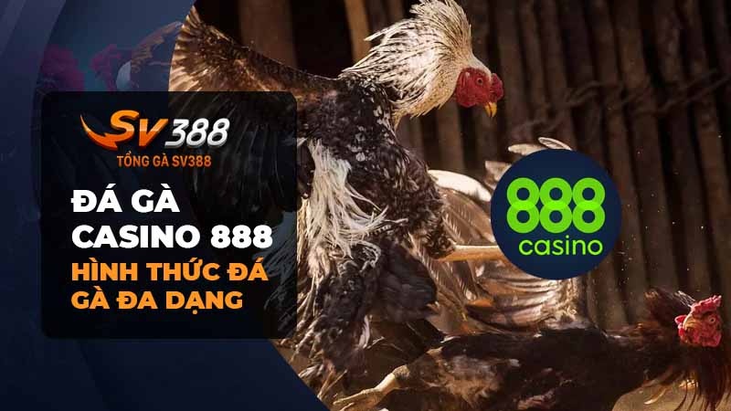 Các Loại Đá Gà casino 888