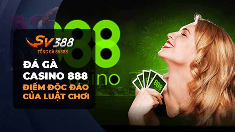 Đặc Điểm Độc Đáo Trong Luật Chơi Cược Đá Gà Casino 888