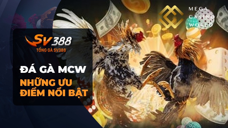 Tại Sao Nên Tham Gia Chơi Đá Gà MCW (Mega Casino World)