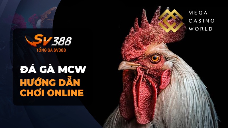 Hướng Dẫn Chơi Đá Gà Trực Tuyến Tại Mega Casino World (MCW)