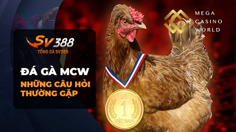 Những Câu Hỏi Thường Gặp Khi Tham Gia Đá Gà MCW (Mega Casino World)