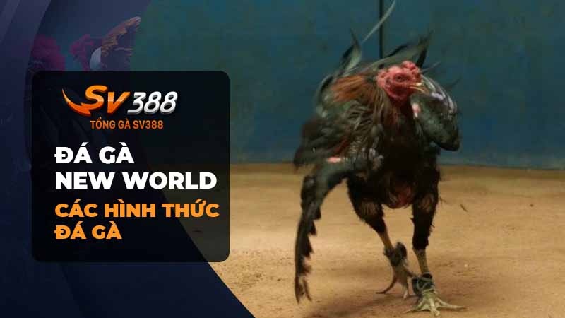 Các Thể Loại Đá gà tại New World