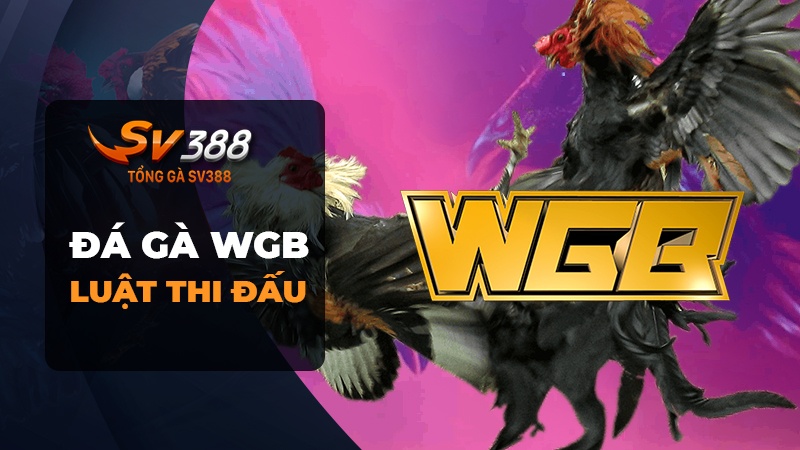 Luật đá gà WGB